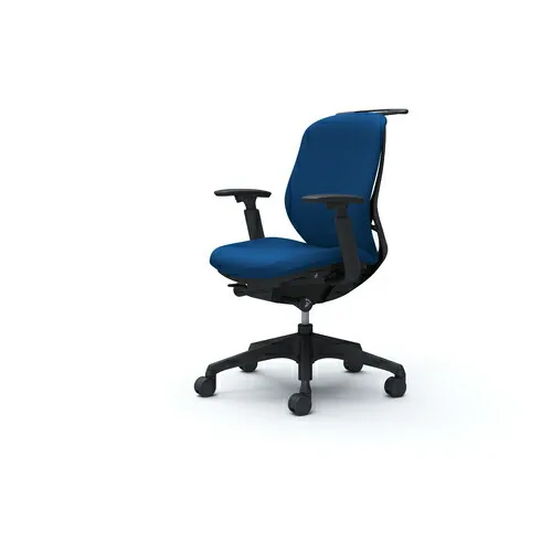 オカムラ ＯＫＡＭＵＲＡ シルフィー 可動肘 背クッション ロー ブラックボディ ハンガー有 ランバー無 樹脂脚 【品番：C684XR-FSF3】