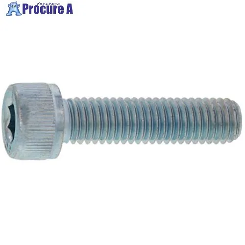 SUNCO SUS316L CAP 2.5×5 (500本入) A0-12-0000-0025-0050-00 1箱 ■▼243-0349 【送料都度見積】