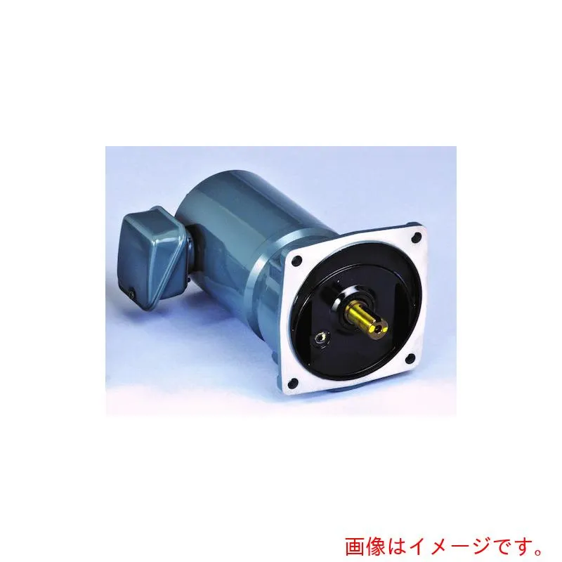 【別途送料あり】シグマー技研 平行軸単相２００Ｗフランジ取付形減速機 【品番：SMF2-02-600】
