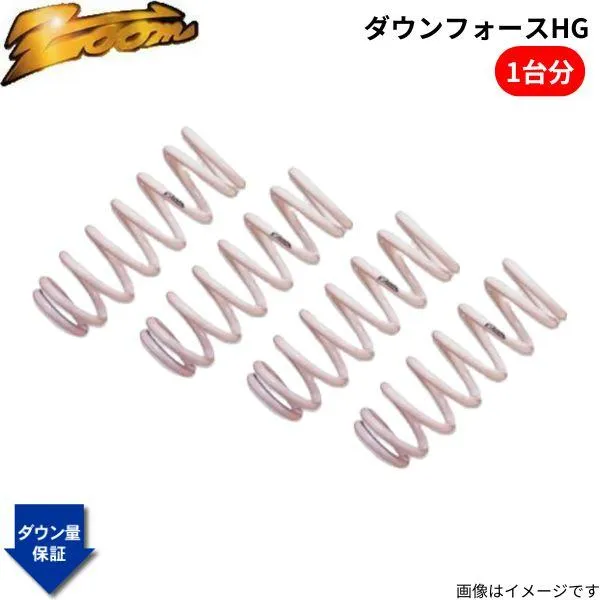 ダウンサス アルシオーネSVX CXD ズーム ダウンフォースHG スバル H3/09〜H9/09 EG33 4WD 3.3L 1台分 ZSB005001SHG