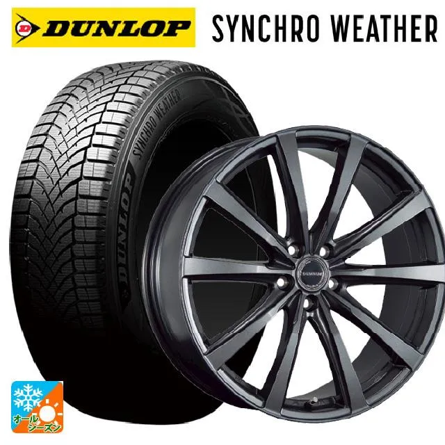 トヨタ クラウンエステート(AZSH38/39)用 255/45R20 105V XL ダンロップ シンクロウェザー # バルミナ LS10