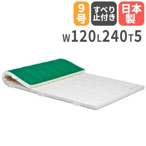法人限定 体操マット 滑り止め付き 5cm厚 9号帆布 120×240×5cm 合成スポンジマット 体育マット エバーマット トーエイライト クッション T2469 T-2469