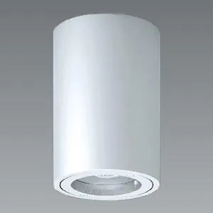 遠藤照明 軒下用LEDシーリングダウンライト 《LEDZ Rsシリーズ》 防雨形 900TYPE FHT32W相当  ERG5541S