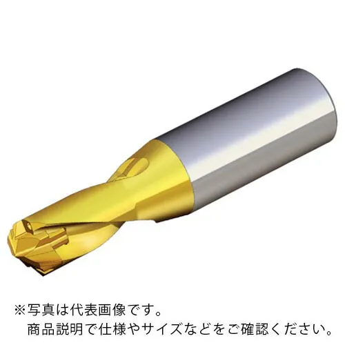 TAEGUTEC ( NTKカッティングツールズ ) 刃先交換式ドリルホルダー ドリルラッシュ ( TCD 060-064-12S0-1.5D )