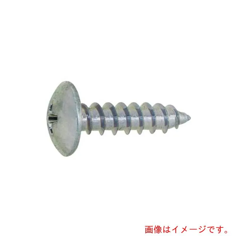 サンコーインダストリー（SUNCO） 三価ホワイト （＋）Ａトラス ２×６ （６０００本入） 【品番：20-00-0003-00200060-03】