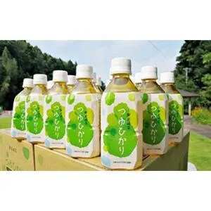 ふるさと納税 「御前崎つゆひかり」ペットボトル 350ml×24本×2ケース（計48本）｜緑茶 お茶 日本茶 ドリンク 飲み物 まとめ買い 災.. 静岡県御前崎市