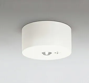 【代引・後払い不可】【OR036319P2】オーデリック 非常用照明・誘導灯器具 LED一体型 演色性(Ra)：70 施主支給