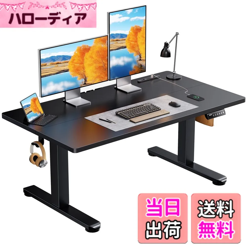 【送料無料】ErGear 電動 昇降式デスク ロータイプ 色：ブラック、サイズ：120*60cm