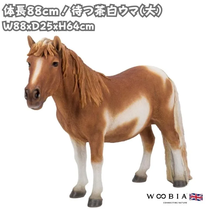 リピート多数  【MWJ102A3U4E】 限定デザイン
