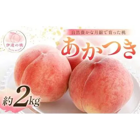 ME54GQFCBGH 型番:ME54GQFCBGH