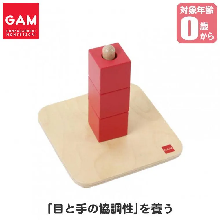 GAM キューブさし 1MM2831 赤ちゃん リング ペグさし 棒通し 0歳 1歳 1歳半 2歳 モンテッソーリ 知育玩具 おもちゃ 木製 知育 0歳 子ども 誕生日プレゼント
