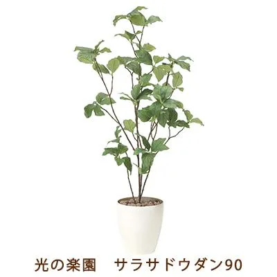 ●光の楽園 (827K100-57) サラサドウダン 90 送料無料 99550