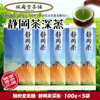 ふるさと納税 静岡市 【駿府堂茶舗】のー静岡茶深蒸ー100g×5袋 / 1番茶葉使用