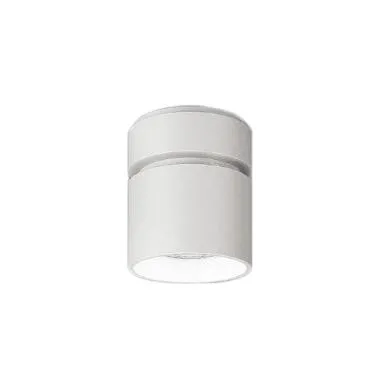 遠藤照明 EFG5339WA テクニカルライト LEDZ ARCHI シーリングダウンライト 直付形φ225 7500タイプ 水銀ランプ250W器具相当 63°拡散配光 昼白色 無線調光