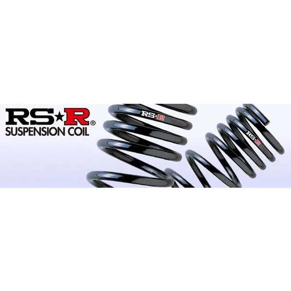 アールエスアール スカイラインGTR BNR34 2600 TB (11/1〜) RS★R HD リアのみ