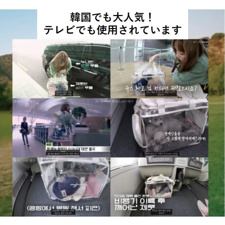 マイファージェリーバック 犬用透明キャリーバック Mサイズ