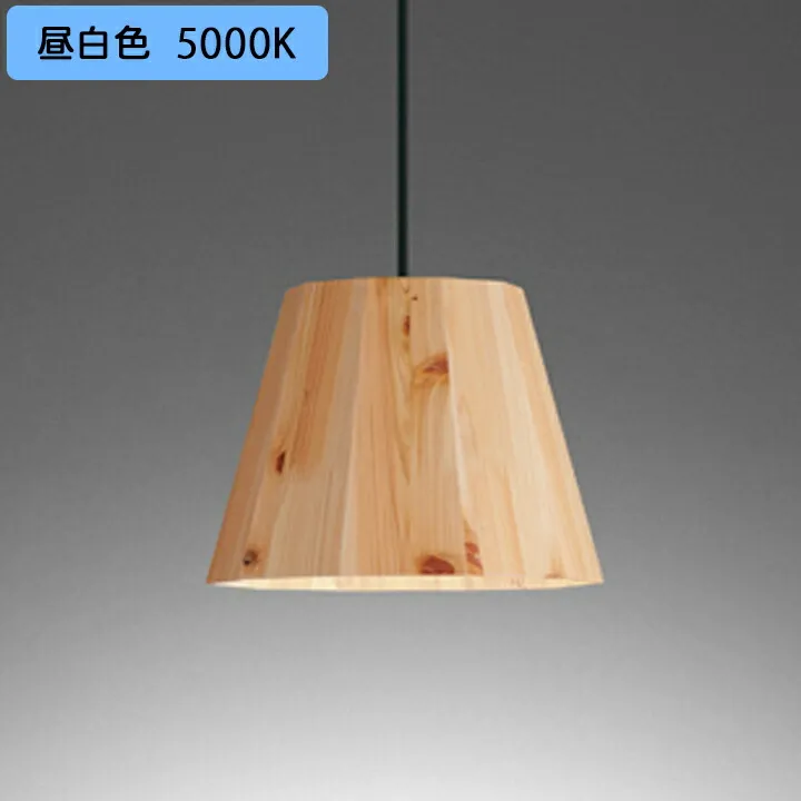 【OP252939NR】オーデリック ペンダントライト LED電球フラット形 高演色LED 白熱灯器具60W相当 フレンジ 調光器不可 昼白色 ODELIC