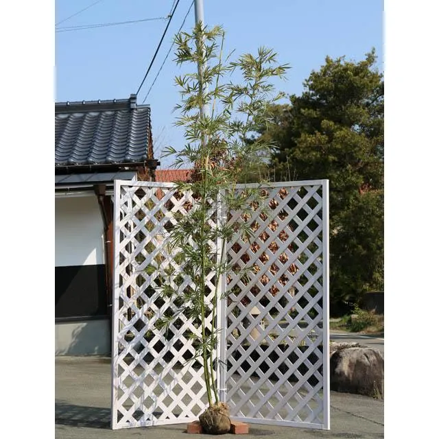 リピート多数 本日発送 M1A2AMNOY9J 型番:M1A2AMNOY9J