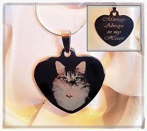 【送料無料】アクセサリー ネックレステキストタグカスタムネックレスtexto y foto grabado en la etiqueta de perro corazn, collar personalizado