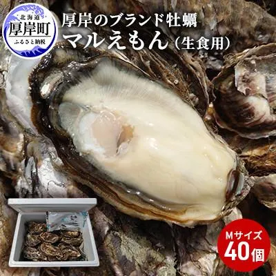 圧倒的人気 最短翌日お届け MNRVZMC94EN [MNRVZMC94EN]