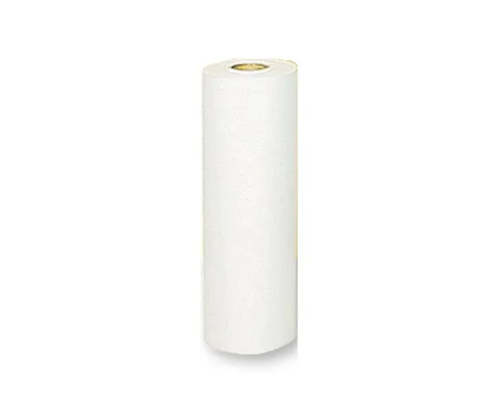【期間限定!対象商品P2～20倍】 ﾛｰﾙﾍﾟｰﾊﾟｰ 10巻 TB-41-02 1箱(10巻入)