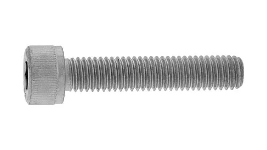 ＣＡＰ（全ねじ【30個】SUS316L CAP(ｾﾞﾝ  12X60X60 ＳＵＳ３１６Ｌ / 生地(または標準)