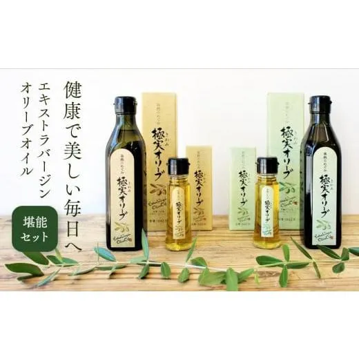 ふるさと納税 食用油 オリーブオイル 和歌山県 和歌山市 エキストラバージンオリーブオイル 堪能セット SM8