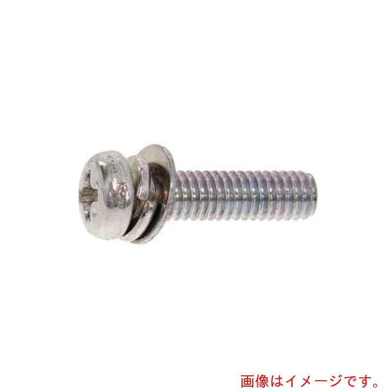 サンコーインダストリー（SUNCO） 組込みねじ ピタック（＋）ナベＰ＝４（鉄（または標準）・三価ブラック） Ｍ３×６（４０００本入） 【品番：10-00-P004-00300060-04】