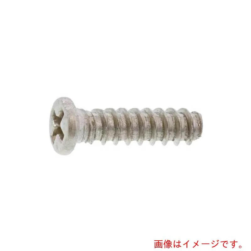 サンコーインダストリー（SUNCO） ニッケル ＃０－１（＋）Ｂタイナベ １．６×４．０ （１００００本入） 【品番：40-00-B100-00160040-05】