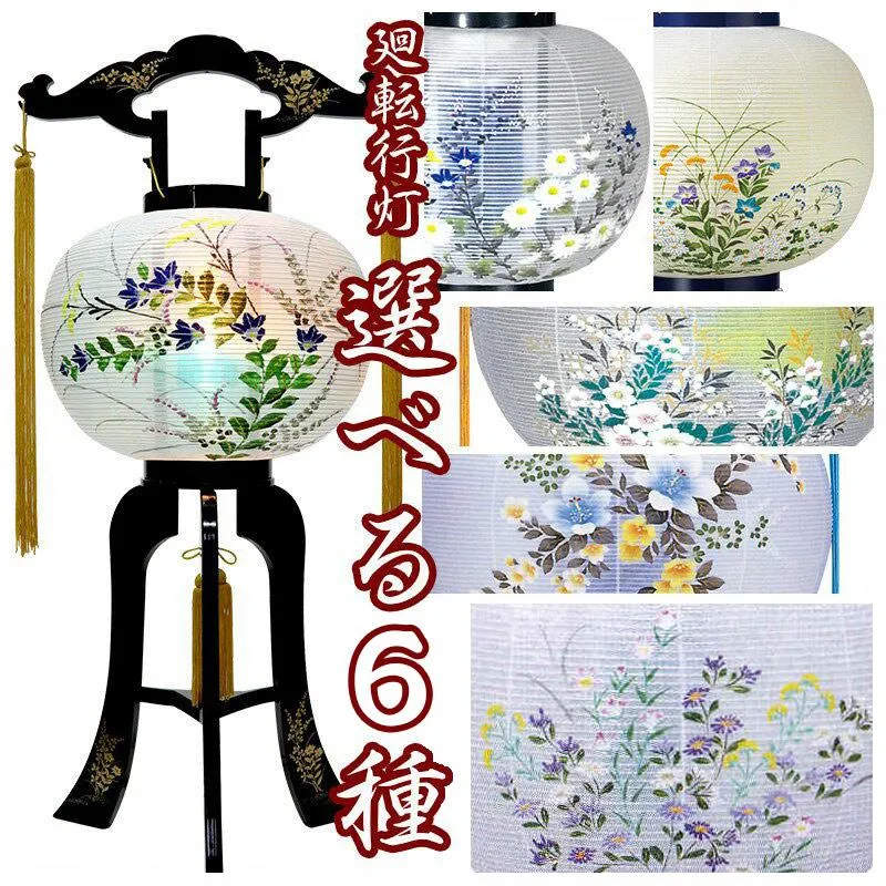 圧倒的人気 在庫あり  【MDTSN6M58JP】 限定デザイン