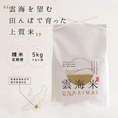  【M4IG5YAYQ0K】 限定デザイン