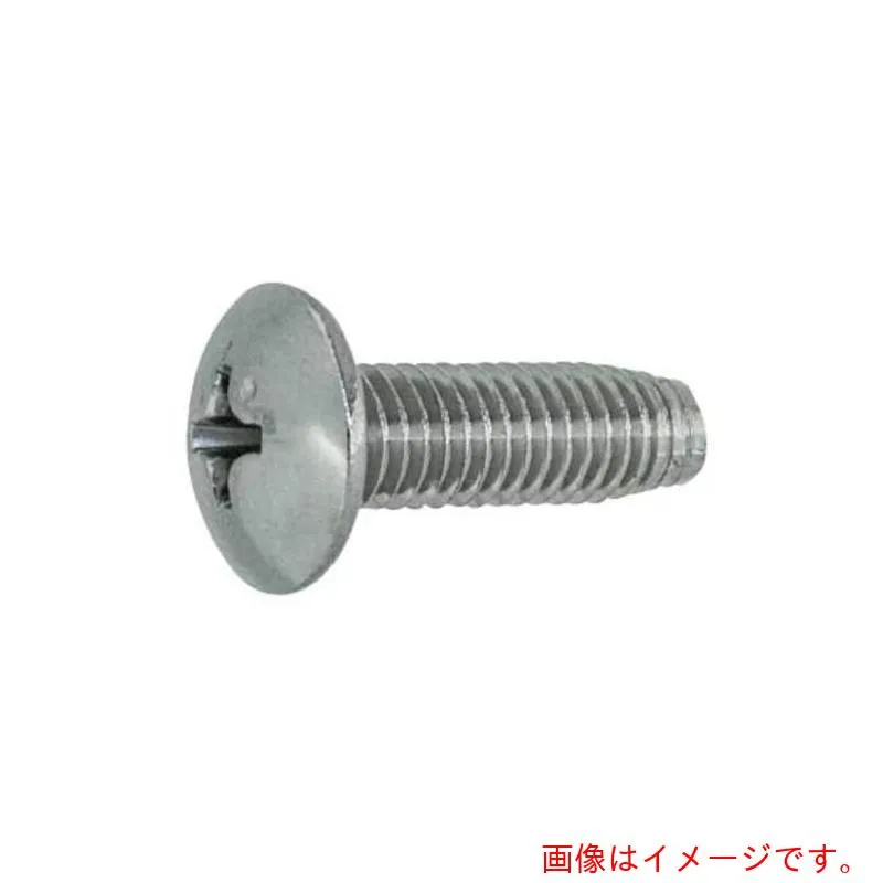 サンコーインダストリー（SUNCO） ＧＢ ステン（＋）Ｃ０トラス Ｄ＝８ 小頭 ４×１６（コアタマ （１０００本入） 【品番：22-02-0108-00400160-07】
