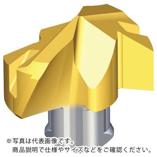 TAEGUTEC ( NTKカッティングツールズ ) 刃先交換式ドリル用ヘッド ドリルラッシュ ( TCD-175-K TT9080 )