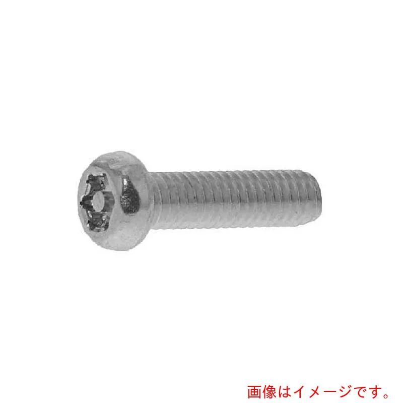 サンコーインダストリー（SUNCO） 三価ブラックＴＲＸタンパープルーフ ナベ小ネジ（Ｔ２５） ５×２５ （７００本入） 【品番：00-00-T100-00500250-04】