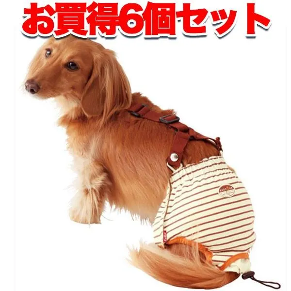 売れ筋 M0T4MCQDW4A [M0T4MCQDW4A]