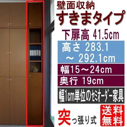 扉付壁面すきま収納 隙間収納 高さ２８３．１〜２９２．１ｃｍ幅１５〜２４ｃｍ奥行１９ｃｍ厚棚板(棚板厚2.5cm) 下扉高さ41.5cm