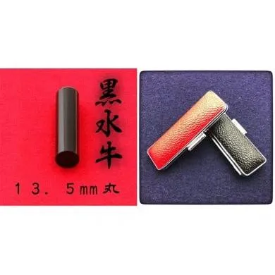 ふるさと納税 伝統技術 静岡県 浜松市 黒水牛13.5mm(7書体)牛革ケース(黒)古印体(こいんたい) No.5786-7895 1862 こいんたい