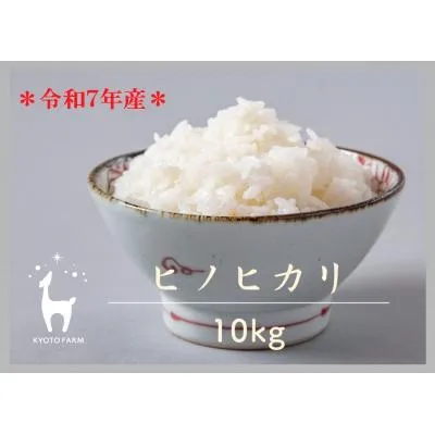 [リピート多数 在庫あり ] MAGNYT3G8ZO (MAGNYT3G8ZO)