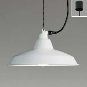 遠藤照明 LEDペンダントライト フレンジタイプ 白熱球50W形×1相当 調光対応 E26口金 ランプ別売  ERP7234WB