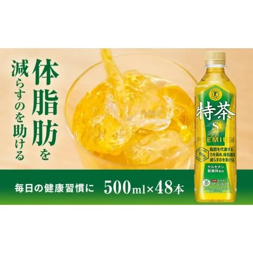 ふるさと納税 お茶類 緑茶（飲料） 神奈川県 綾瀬市 伊右衛門 特茶 500ml × 48本(2ケース) サントリー 特定保健用食品 トクホ お茶 緑茶 ペットボトル 500 茶…