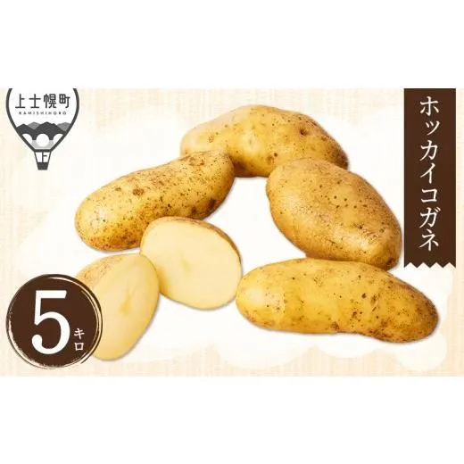 ふるさと納税 野菜類 サツマイモ 北海道 上士幌町 2026年産 先行予約 北海道産 新じゃが ホッカイコガネ 5kg 北海道 上士幌町 須田農場 野菜 秋野菜 じゃがい…