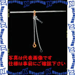 【P】【代引不可】【個人宅配送不可】ESCO(エスコ) 0.25tonx1.0mレバーホイスト EA988AB-1 [ZES070999]