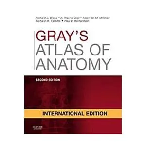 Gray's Atlas of Anatomy (Paperback 2 International ed)