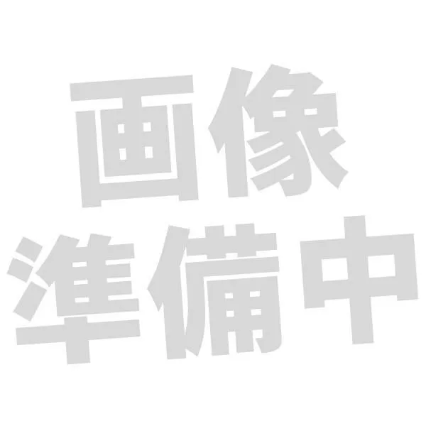 (お取り寄せ)WAGNUS. Olivarum 2.5mm 4極 MMCX type (納期:未定)リケーブル イヤホン ケーブル