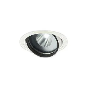 LZD-93772PWM LEDユニバーサルダウンライト marche II 埋込穴φ125 3000/4000クラス CDM-T70W相当 生鮮食品用 電源別売 20°中角形 高彩色 3650K相当 大光電機