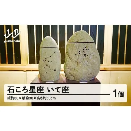 圧倒的人気 本日発送 MXXM9TS654J [MXXM9TS654J]
