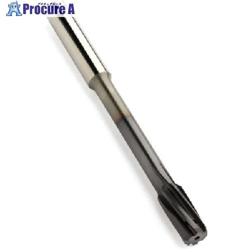 SANDVIK コロリーマ835超硬ソリッドリーマ(725) 1024 835.T-1100-A1-PF  1024 (725) 1本 ■▼563-7201 【送料都度見積】 ●KO521