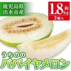 ふるさと納税 i456 ＜2026年4月中旬~5月中旬の間に発送予定＞うちののパパイヤメロン(計約1.8kg・2個入) メロン パパイヤメロン 果物 くだもの.. 鹿児島県出水市