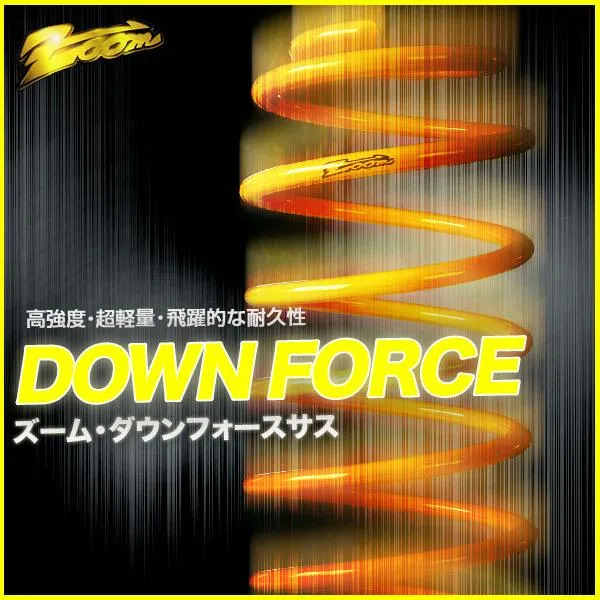 ダウンサス 日産 プリメーラワゴン WTP12 QR20DE 2WD 2.0L H13/1〜H17/12 1台分・前後セット ZOOM