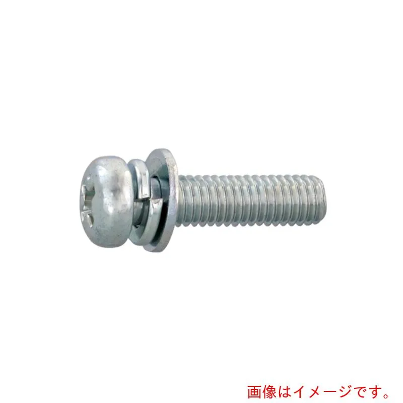 サンコーインダストリー（SUNCO） 組込みねじ （＋）ナベＩ＝３（鉄（または標準）・クローム） Ｍ４×４０（４００本入） 【品番：10-00-0013-00400400-06】